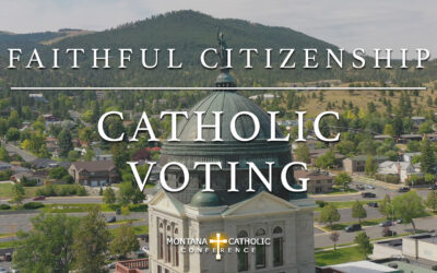 2. Faithful Citizenship: Catholic Voting