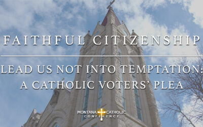 5. Faithful Citizenship: Lead Us Not Into Temptation