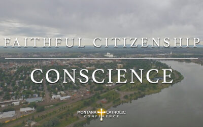 3. Faithful Citizenship: Conscience