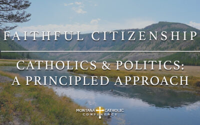 7. Faithful Citizenship: Catholics and Politics – A Principled Approach