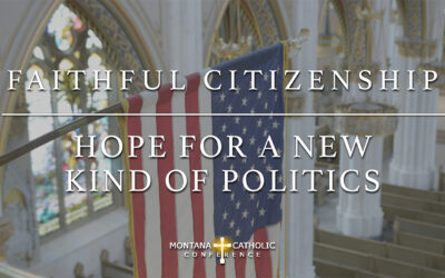 8. Faithful Citizenship: Hope for a New Kind of Politics