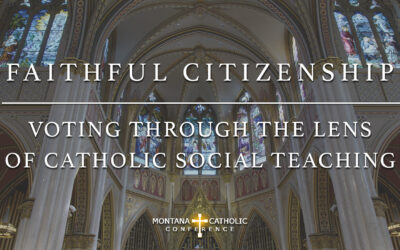 6. Faithful Citizenship: Voting Through the Lens of Catholic Social Teaching