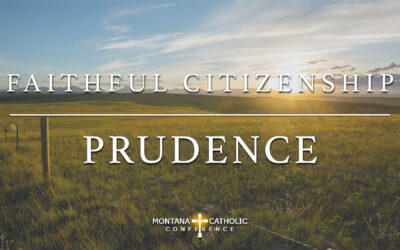 4. Faithful Citizenship: Prudence